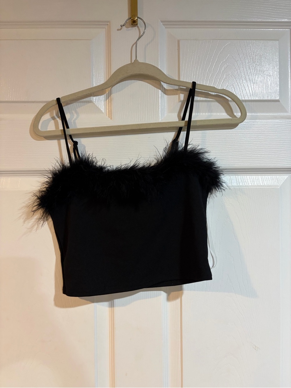 Francesca’s Mi Ami Black Feather Trim Cropped Going Out Top